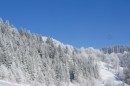 Filename=Ebenwald-Winter-2013-10.jpg
Filesize=254KB
Dimensions=800x533
Date added=Jan 27, 2013 Ebenwald-Winter-2013-10.jpg