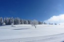 Filename=Ebenwald-Winter-2013-100.jpg
Filesize=278KB
Dimensions=800x533
Date added=Jan 27, 2013 Ebenwald-Winter-2013-100.jpg
