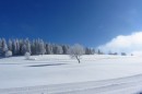 Ebenwald-Winter-2013-100.jpg