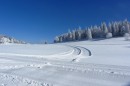 Filename=Ebenwald-Winter-2013-101.jpg
Filesize=205KB
Dimensions=800x533
Date added=Jan 27, 2013 Ebenwald-Winter-2013-101.jpg