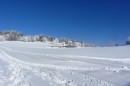 Filename=Ebenwald-Winter-2013-102.jpg
Filesize=196KB
Dimensions=800x533
Date added=Jan 27, 2013 Ebenwald-Winter-2013-102.jpg