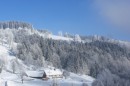 Filename=Ebenwald-Winter-2013-11.jpg
Filesize=244KB
Dimensions=800x533
Date added=Jan 27, 2013 Ebenwald-Winter-2013-11.jpg