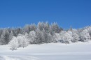 Ebenwald-Winter-2013-110.jpg