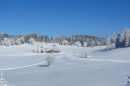 Filename=Ebenwald-Winter-2013-113.jpg
Filesize=265KB
Dimensions=800x533
Date added=Jan 27, 2013 Ebenwald-Winter-2013-113.jpg