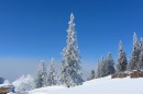 Filename=Ebenwald-Winter-2013-117.jpg
Filesize=298KB
Dimensions=800x533
Date added=Jan 27, 2013 Ebenwald-Winter-2013-117.jpg