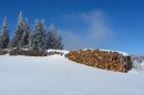 Filename=Ebenwald-Winter-2013-118.jpg
Filesize=215KB
Dimensions=800x533
Date added=Jan 27, 2013 Ebenwald-Winter-2013-118.jpg