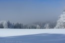 Ebenwald-Winter-2013-125.jpg