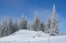 Ebenwald-Winter-2013-126.jpg