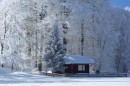 Ebenwald-Winter-2013-127.jpg