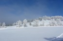 Ebenwald-Winter-2013-131.jpg