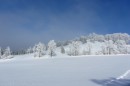 Filename=Ebenwald-Winter-2013-131.jpg
Filesize=246KB
Dimensions=800x533
Date added=Jan 27, 2013 Ebenwald-Winter-2013-131.jpg