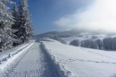 Ebenwald-Winter-2013-134.jpg