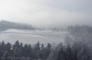 Ebenwald-Winter-2013-137.jpg
