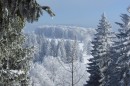 Ebenwald-Winter-2013-141.jpg