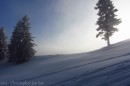 Ebenwald-Winter-2013-157.jpg