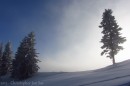 Ebenwald-Winter-2013-158.jpg