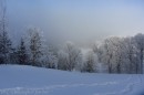 Ebenwald-Winter-2013-159.jpg