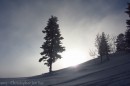 Filename=Ebenwald-Winter-2013-161.jpg
Filesize=248KB
Dimensions=800x533
Date added=Jan 27, 2013 Ebenwald-Winter-2013-161.jpg
