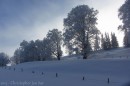 Filename=Ebenwald-Winter-2013-164.jpg
Filesize=214KB
Dimensions=800x533
Date added=Jan 27, 2013 Ebenwald-Winter-2013-164.jpg