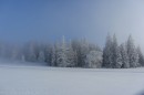 Filename=Ebenwald-Winter-2013-170.jpg
Filesize=259KB
Dimensions=800x533
Date added=Jan 27, 2013 Ebenwald-Winter-2013-170.jpg