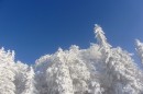 Ebenwald-Winter-2013-186.jpg