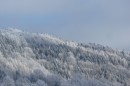 Ebenwald-Winter-2013-19.jpg