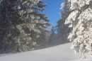 Ebenwald-Winter-2013-190.jpg