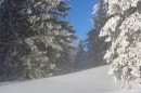 Filename=Ebenwald-Winter-2013-190.jpg
Filesize=285KB
Dimensions=800x533
Date added=Jan 27, 2013 Ebenwald-Winter-2013-190.jpg