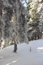 Ebenwald-Winter-2013-193.jpg