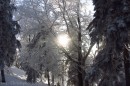 Ebenwald-Winter-2013-194.jpg