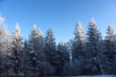 Ebenwald-Winter-2013-202.jpg