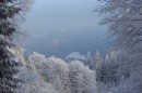 Filename=Ebenwald-Winter-2013-217.jpg
Filesize=276KB
Dimensions=800x533
Date added=Jan 27, 2013 Ebenwald-Winter-2013-217.jpg