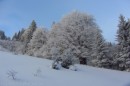 Ebenwald-Winter-2013-221.jpg