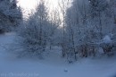 Ebenwald-Winter-2013-223.jpg