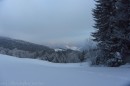 Ebenwald-Winter-2013-226.jpg