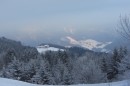 Ebenwald-Winter-2013-227.jpg