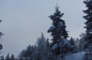 Ebenwald-Winter-2013-228.jpg