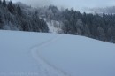 Ebenwald-Winter-2013-229.jpg