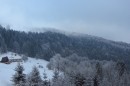 Filename=Ebenwald-Winter-2013-233.jpg
Filesize=213KB
Dimensions=800x533
Date added=Jan 27, 2013 Ebenwald-Winter-2013-233.jpg