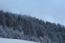 Ebenwald-Winter-2013-234.jpg