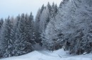 Ebenwald-Winter-2013-240.jpg