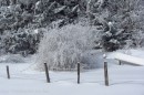 Ebenwald-Winter-2013-26.jpg