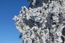 Ebenwald-Winter-2013-58.jpg