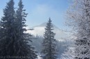 Ebenwald-Winter-2013-65.jpg