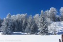 Ebenwald-Winter-2013-82.jpg