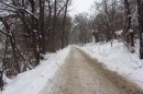 Filename=IMG_2765.jpg
Filesize=149KB
Dimensions=800x533
Date added=Jan 25, 2013 IMG_2765.jpg