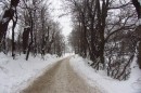Filename=IMG_2766.jpg
Filesize=166KB
Dimensions=800x533
Date added=Jan 25, 2013 IMG_2766.jpg