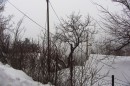 Filename=IMG_2769.jpg
Filesize=159KB
Dimensions=800x533
Date added=Jan 25, 2013 IMG_2769.jpg