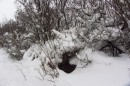 Filename=IMG_2774.jpg
Filesize=156KB
Dimensions=800x533
Date added=Jan 25, 2013 IMG_2774.jpg