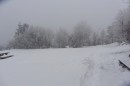 Filename=IMG_2780.jpg
Filesize=64KB
Dimensions=800x533
Date added=Jan 25, 2013 IMG_2780.jpg